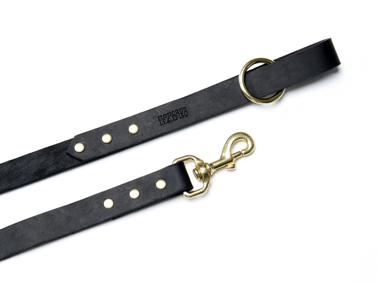 Black cowhide leather dog lead with warm brass hardware, shown laid out to display the loop handle and trigger clip. Three brass studs secure each end, with a House of Hades stamp near the handle.