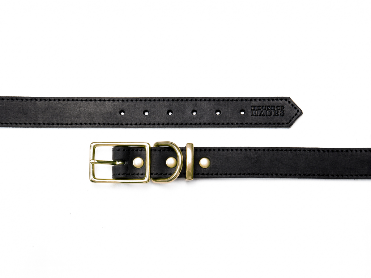 Black cowhide leather dog collar laid open to show its construction, with six adjustment holes, rectangular brass buckle, D-ring, keeper and three brass studs securing the hardware end.