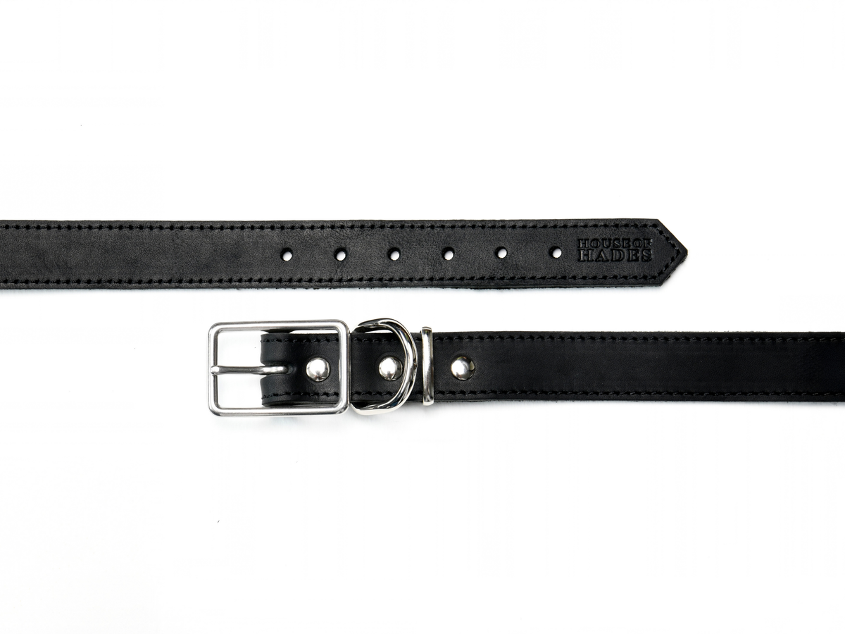 Black cowhide leather dog collar laid open to show its construction, with six adjustment holes, rectangular silver-colour zinc alloy buckle, D-ring, keeper and three metal studs securing the hardware end.