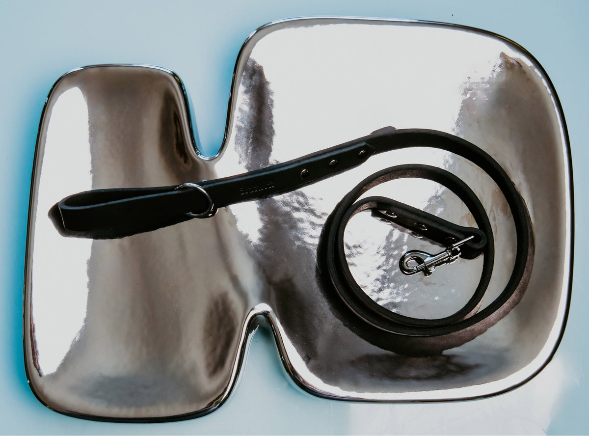 A black leather collar curled into a spiral upon an irregular, mirror-polished silver bowl, reflecting pools of pearlescent light reminiscent of mother-of-pearl, against a vivid blue table.
