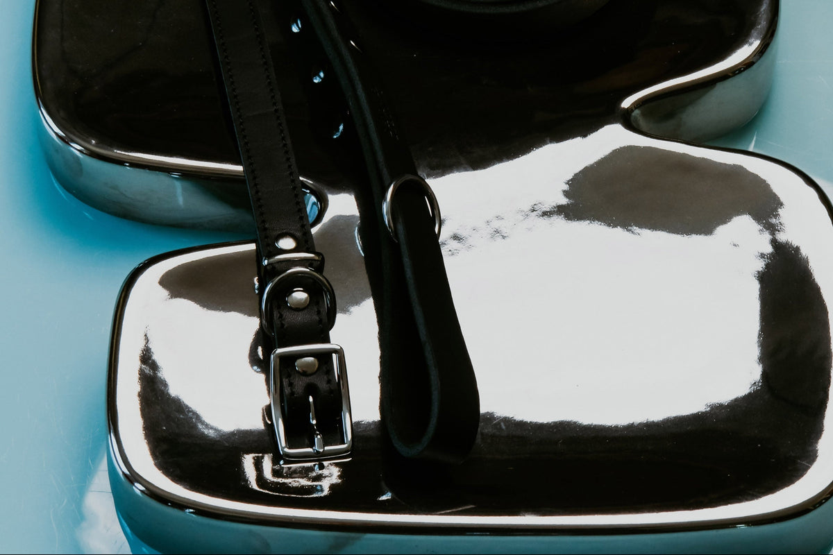 A black leather collar and looped lead drape across an irregular, mirror-polished silver bowl, reflecting pools of light against a vivid blue table.