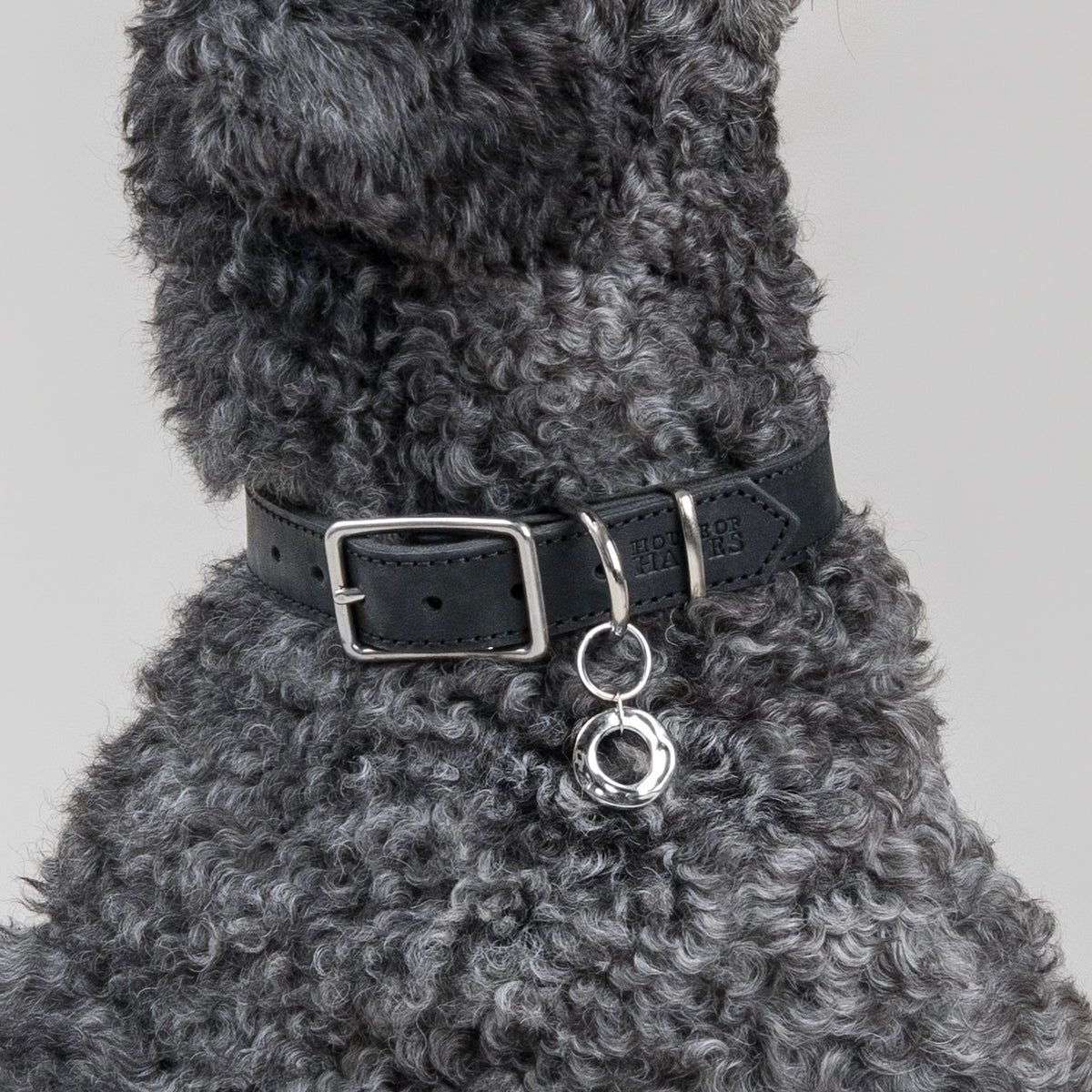 Close-up of the DROMI pendant in silver-coloured metal, hanging from a House of Hades black leather collar with silver-coloured hardware, worn by a dark grey poodle against a pale grey background.